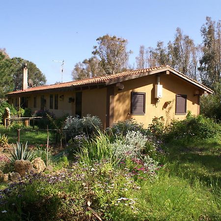 Tharros B&B San Giovanni di Sinis Kültér fotó
